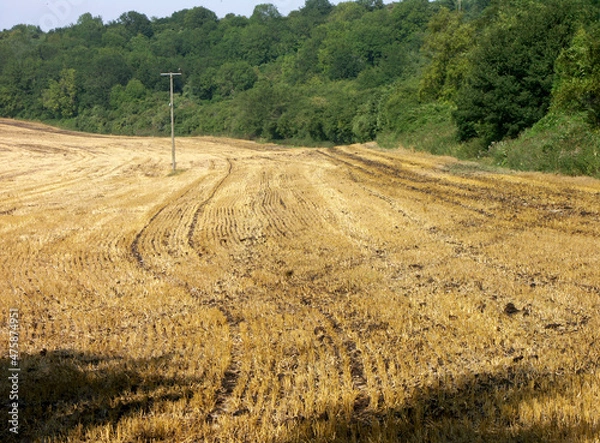 Fototapeta KONICA MINOLTA DIGITAL CAMERA