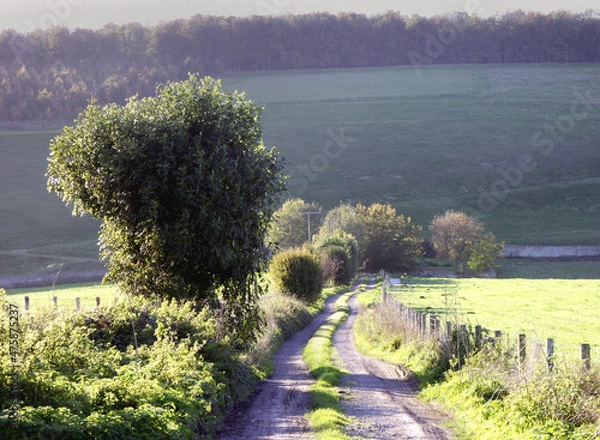 Fototapeta KONICA MINOLTA DIGITAL CAMERA