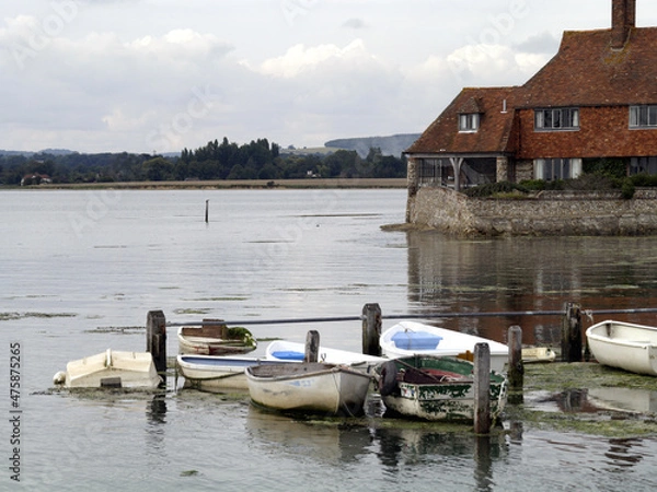 Fototapeta OLYMPUS DIGITAL CAMERA