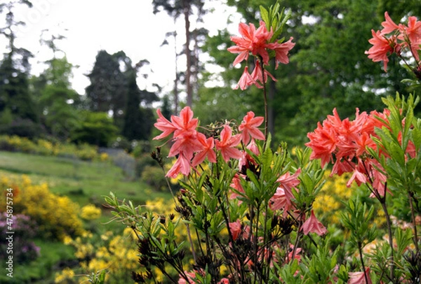 Fototapeta OLYMPUS DIGITAL CAMERA