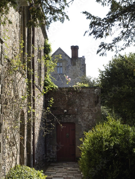 Fototapeta OLYMPUS DIGITAL CAMERA