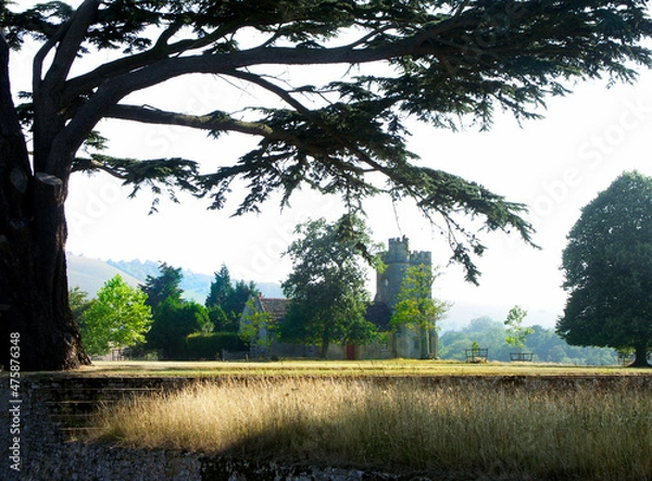 Fototapeta KONICA MINOLTA DIGITAL CAMERA