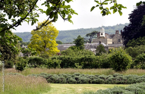 Fototapeta OLYMPUS DIGITAL CAMERA