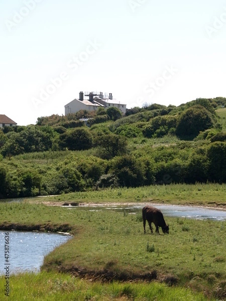Fototapeta OLYMPUS DIGITAL CAMERA
