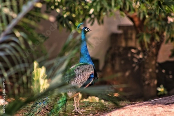 Obraz Espirito Santo ES