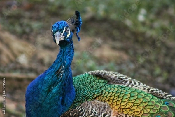 Obraz Espirito Santo ES