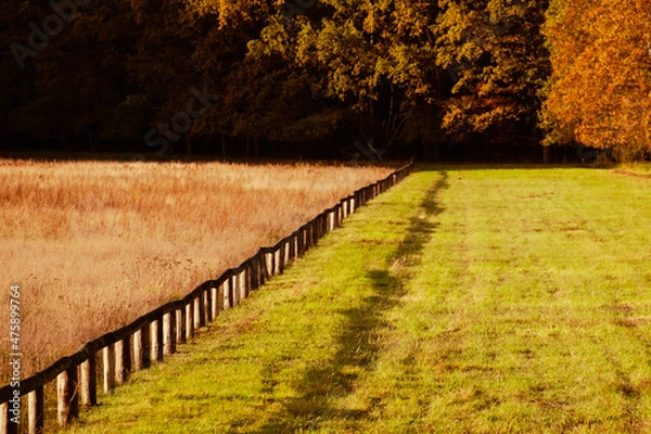 Obraz Herbstliche Landschaft