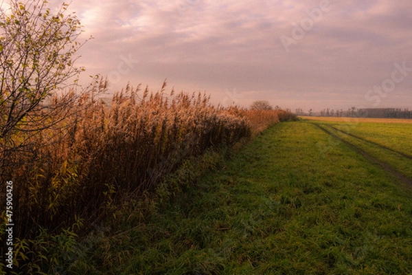 Obraz Auf den Feldern