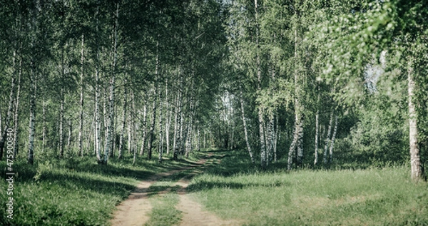 Obraz wall with a tree
