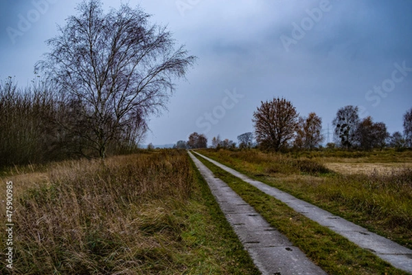 Obraz Alte Straße in Brandenburg