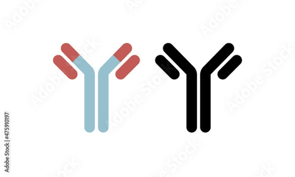 Obraz antibody, immune system, molecule cell. vector isolated illustration Simple icon