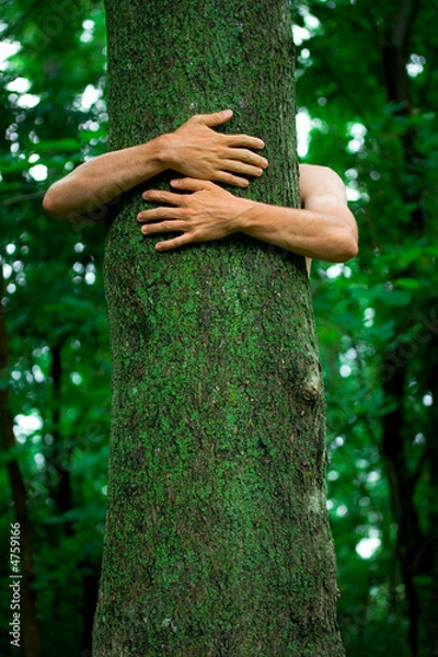 Obraz Tree Hugger Environmentalist
