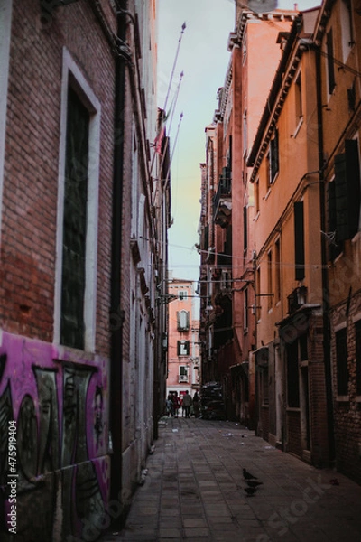 Fototapeta Passage intimiste