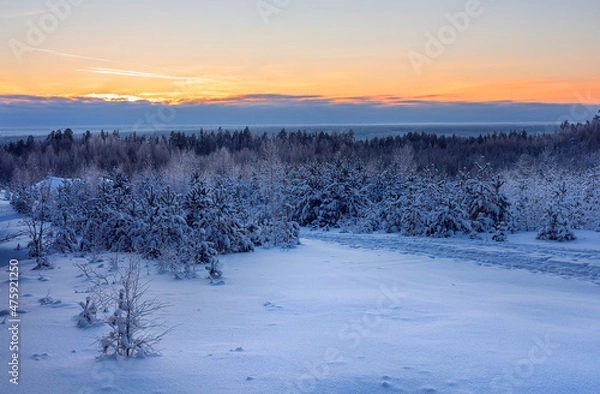 Fototapeta Winter sunset. Natural landscape with trees under the snow.
