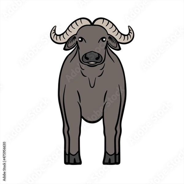 Obraz Buffalo