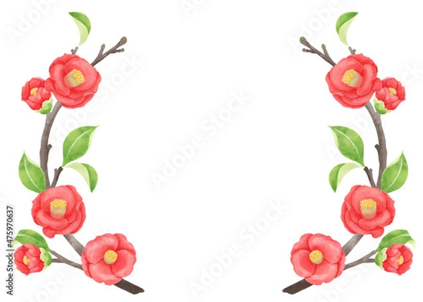 Fototapeta 椿の水彩画、和風の飾りフレーム／Camellia watercolor painting, Japanese style decorative frame