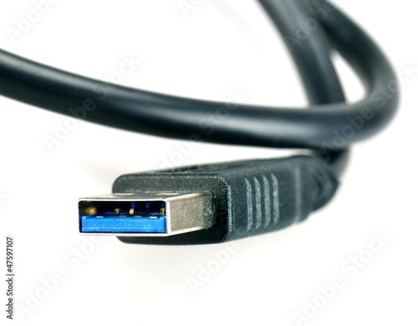 Obraz USB 3.0 Type A plug