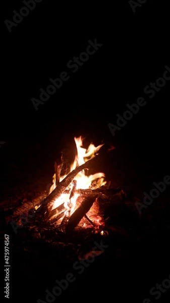 Obraz fire in the fireplace