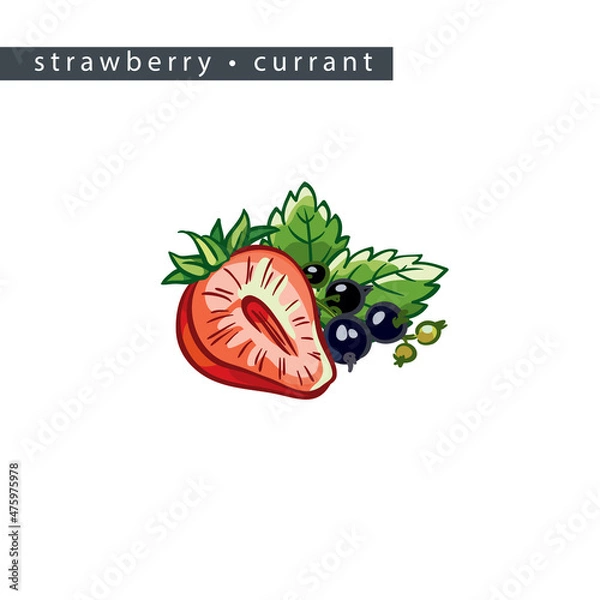 Obraz sketch_strawberry_currant_half_a_berry_small_berries_and_leaves