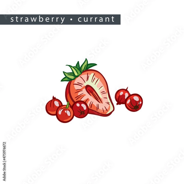 Obraz sketch_strawberry_currant_half_a_berry_and_five_small_berries