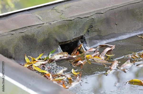 Obraz Water drainage on a flat roof