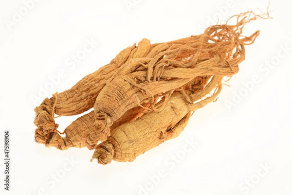 Obraz Preserved Ginseng Roots