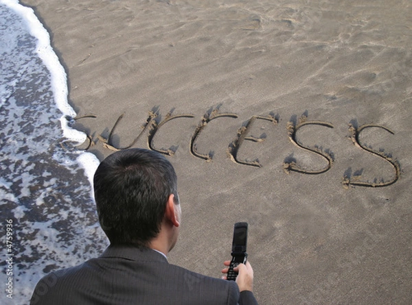 Obraz Successful businessman