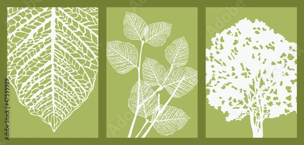 Obraz Leaf, Branch and Tree