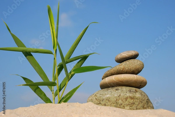 Obraz Steine am Strand3