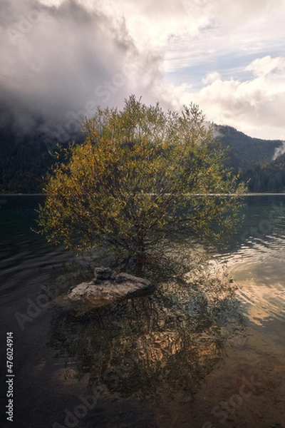 Obraz The Golden Tree