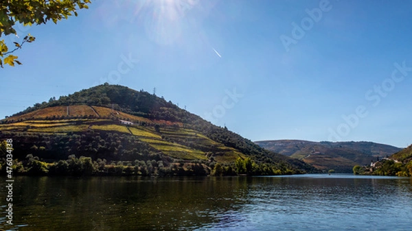 Obraz Vignoble de Pinhao