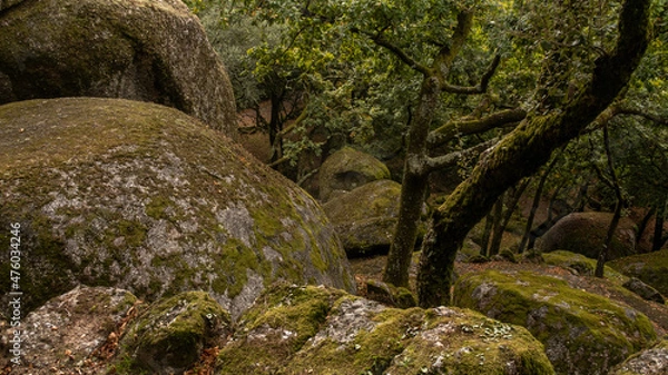 Obraz Parc de Guimaraes