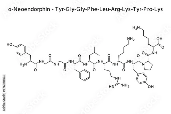 Fototapeta Alpha neoendorphin biomolecule molecular formula. Skeletal molecule structure vector eps10.