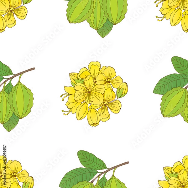 Obraz vector seamless pattern with ardjuna and kasia flowers