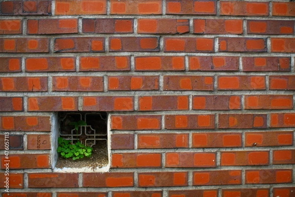 Obraz Red brick wall.