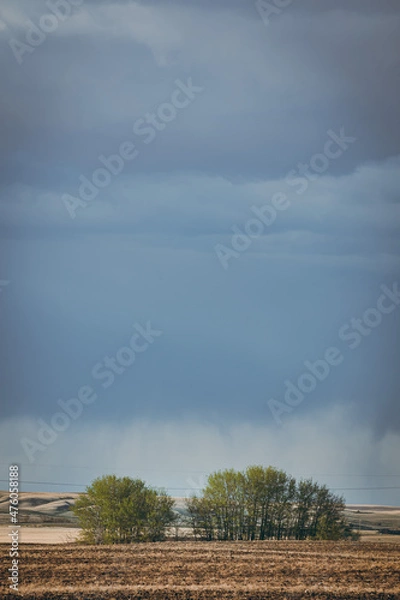 Obraz Spring in Saskatchwan