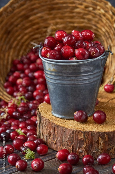 Fototapeta A small metal bucket with cranberries stands on a cut of a tree, cranberries are scattered nearby, wicker straw with berries in the background.
