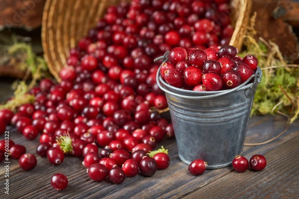 Fototapeta A small metal bucket filled with fresh cranberries stands on a wooden table, cranberries are scattered nearby,