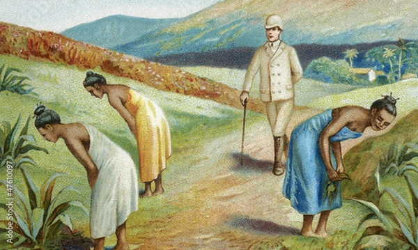 Obraz old colonial illustration