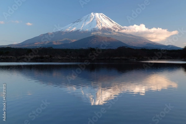 Fototapeta 世界遺産　富士山を富士五湖の一つの精進湖からの望む風景