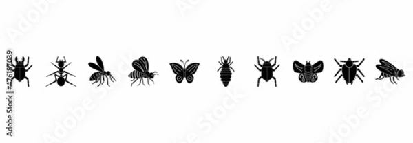 Fototapeta insect icon set, insect vector set sign symbol