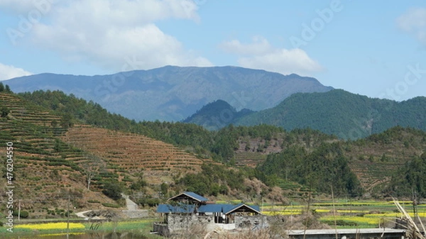 Fototapeta The beautiful mountains view with the green forest and flowers field in the countryside of the southern China 