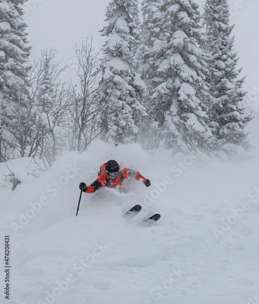 Obraz Freerider is buried in fresh snow, turning and jumping between the trees. freeride skiing in deep powder snow. Chest deep snow during snow storm. Good powder day. Funny skiing, rides over off-piste