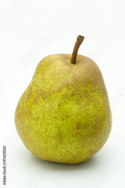 Fototapeta ラフランス（洋梨）