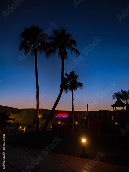 Obraz Palm trees and buildings in Sharm el Sheikh, Egypt. Bottom view. Structures and nature of Africa.