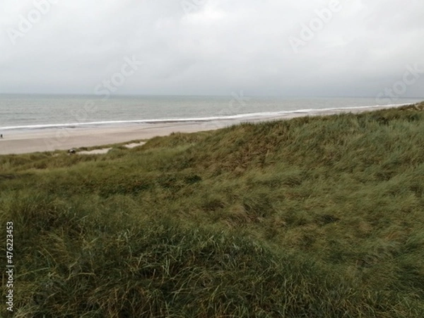 Obraz cloudy weather sand dunes Denmark