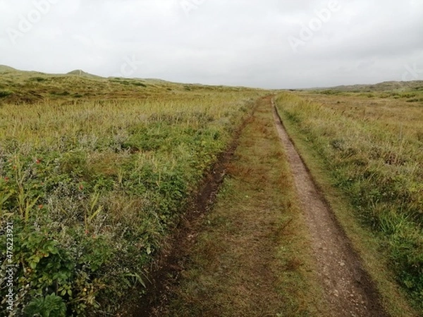 Fototapeta landscape way