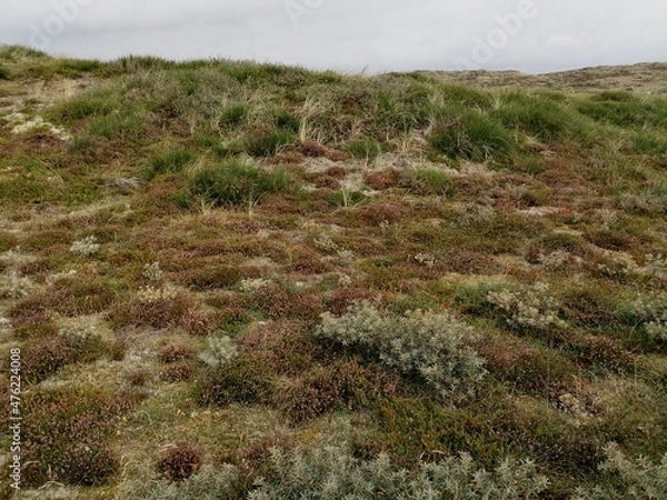 Obraz Danish nature 4