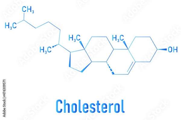 Fototapeta Cholesterol molecule. Essential component of cell membranes and precursor of steroid hormones, bile acids and vitamin D. Skeletal formula.