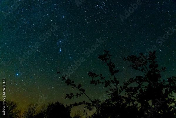 Obraz starry night sky